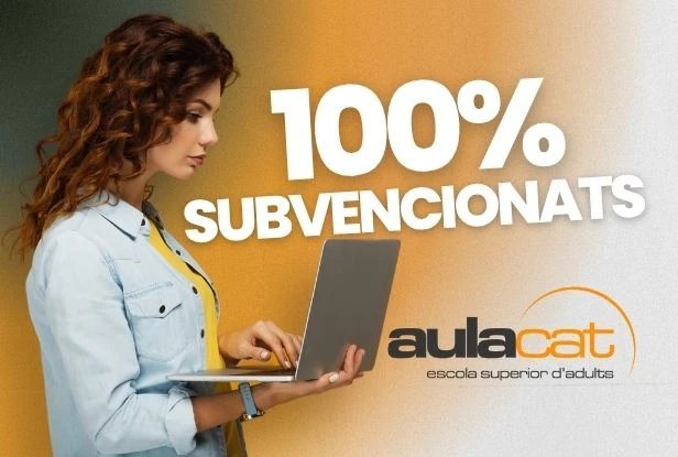 Cursos subvencionados de competencias digitales (TIC)